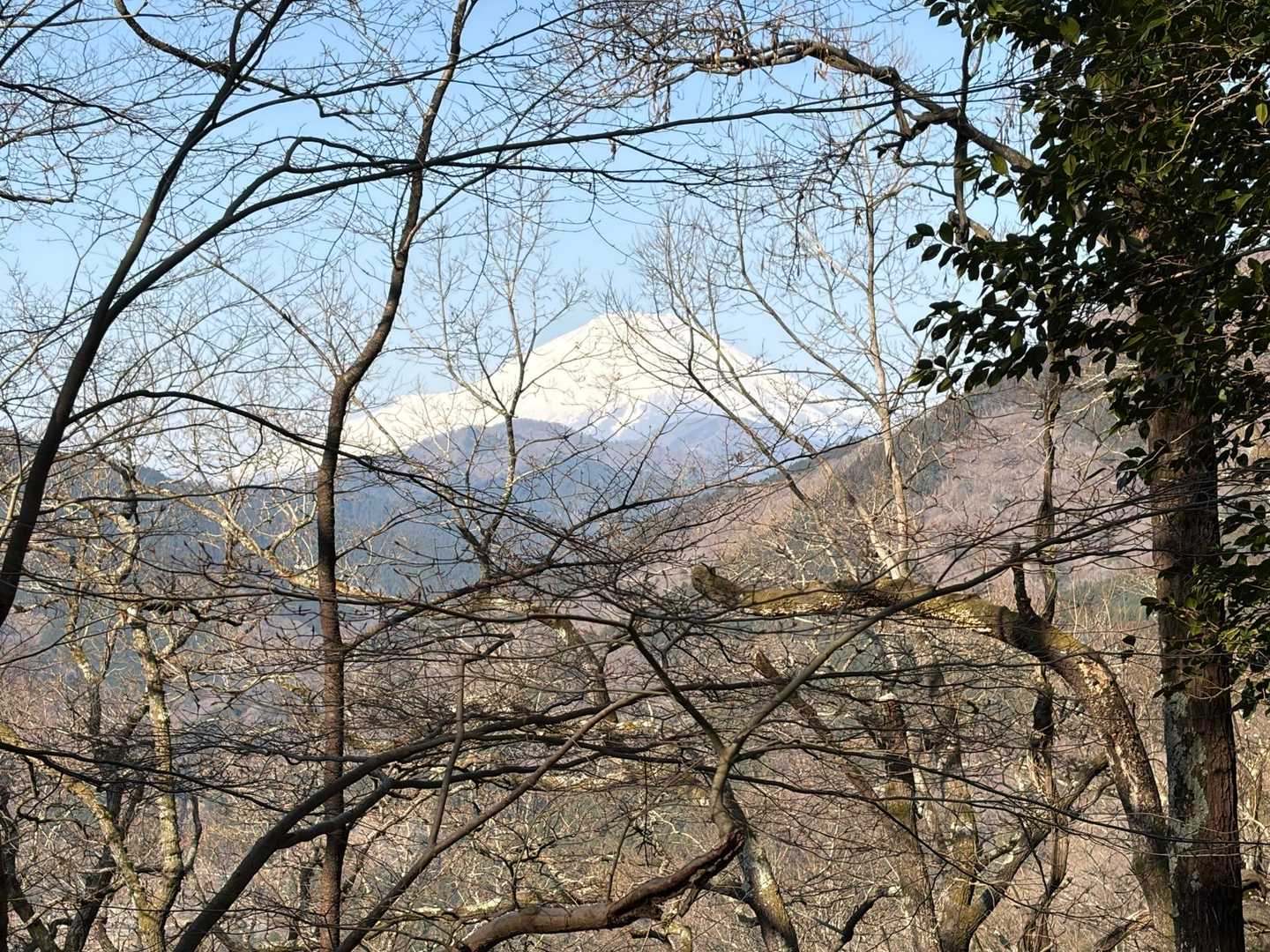 おぉー、ここで、本日の初富士山☺️