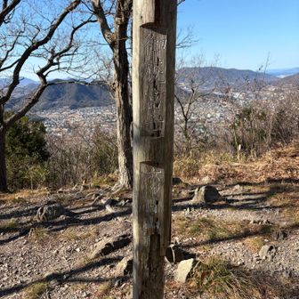 とうちゃーく！