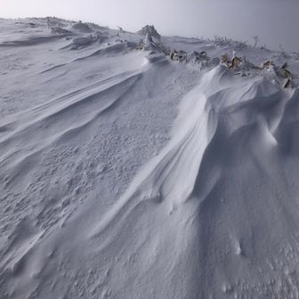 霧ヶ峰・車山・大笹峰 初めて生で見るシュカブラに感動！