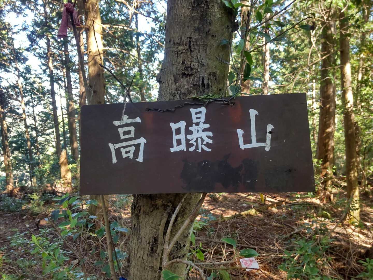 またね🫡
