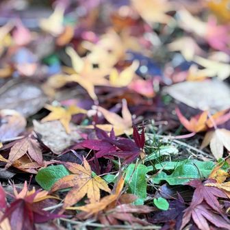 最近よくみるアングルに挑戦。
なかなかうまく撮れないや。