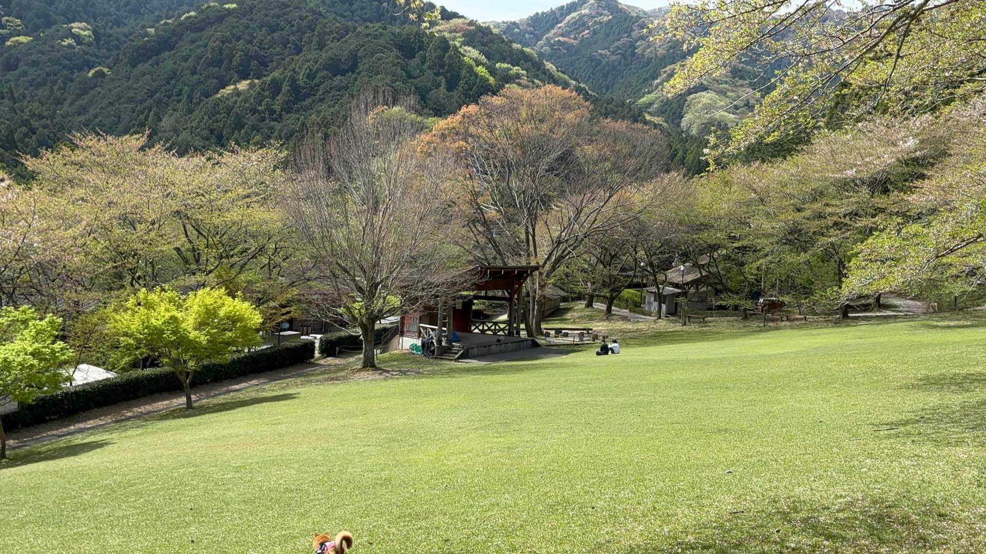 森林公園😊