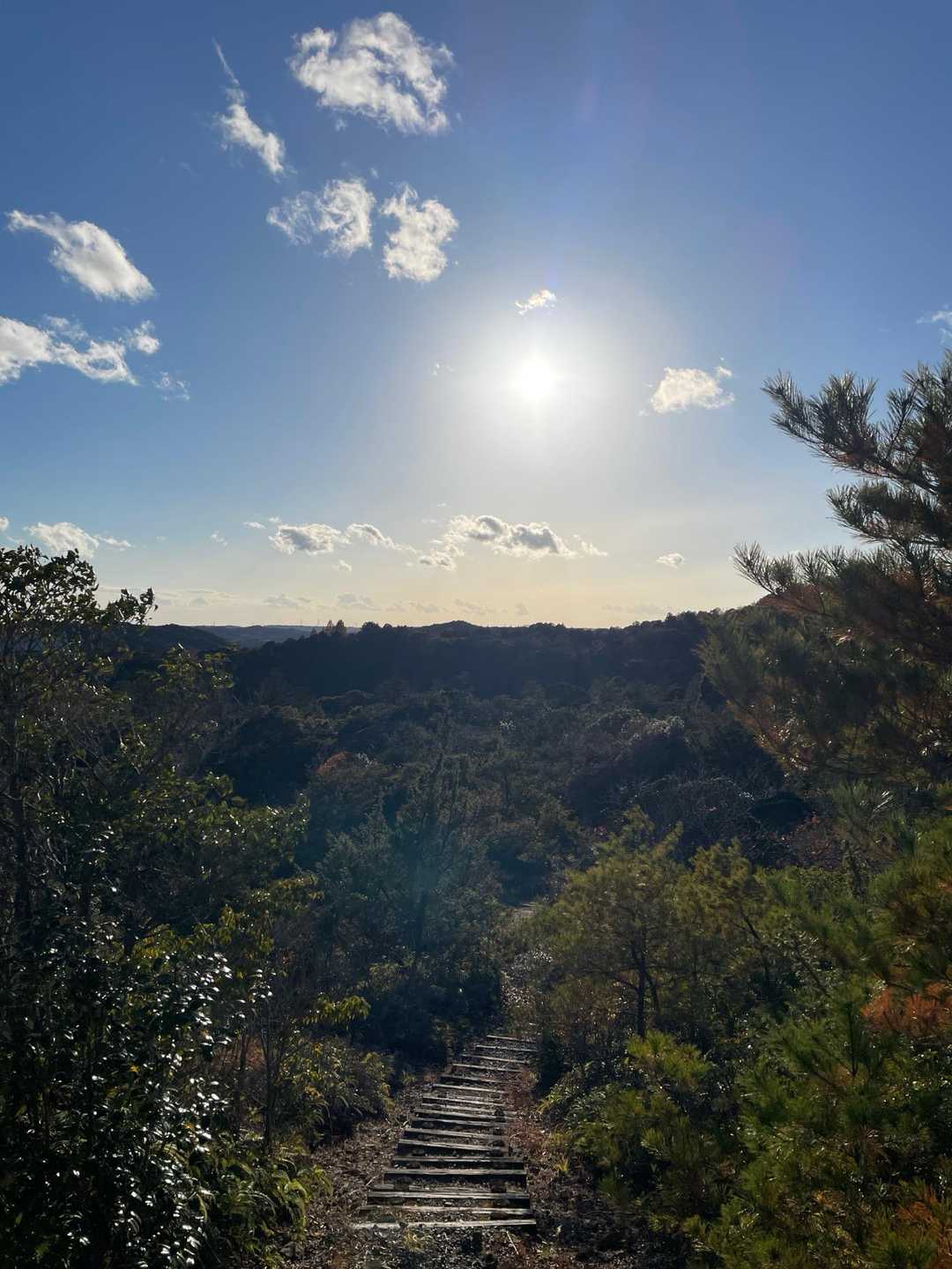 振り返ると優しいおひさま☀️