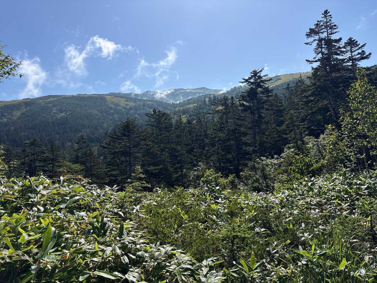 でも直ぐにガスが晴れて☀️