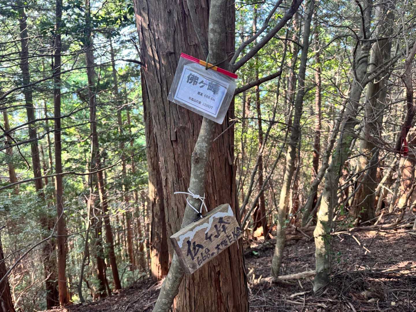 佛ヶ峰の山頂に到着‼️💦