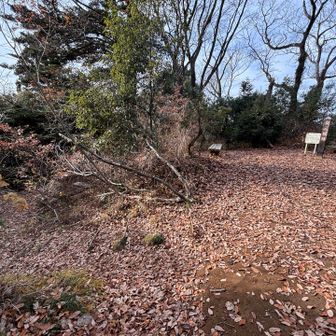 左手前からほんの少し降るとベンチとテーブルもあります