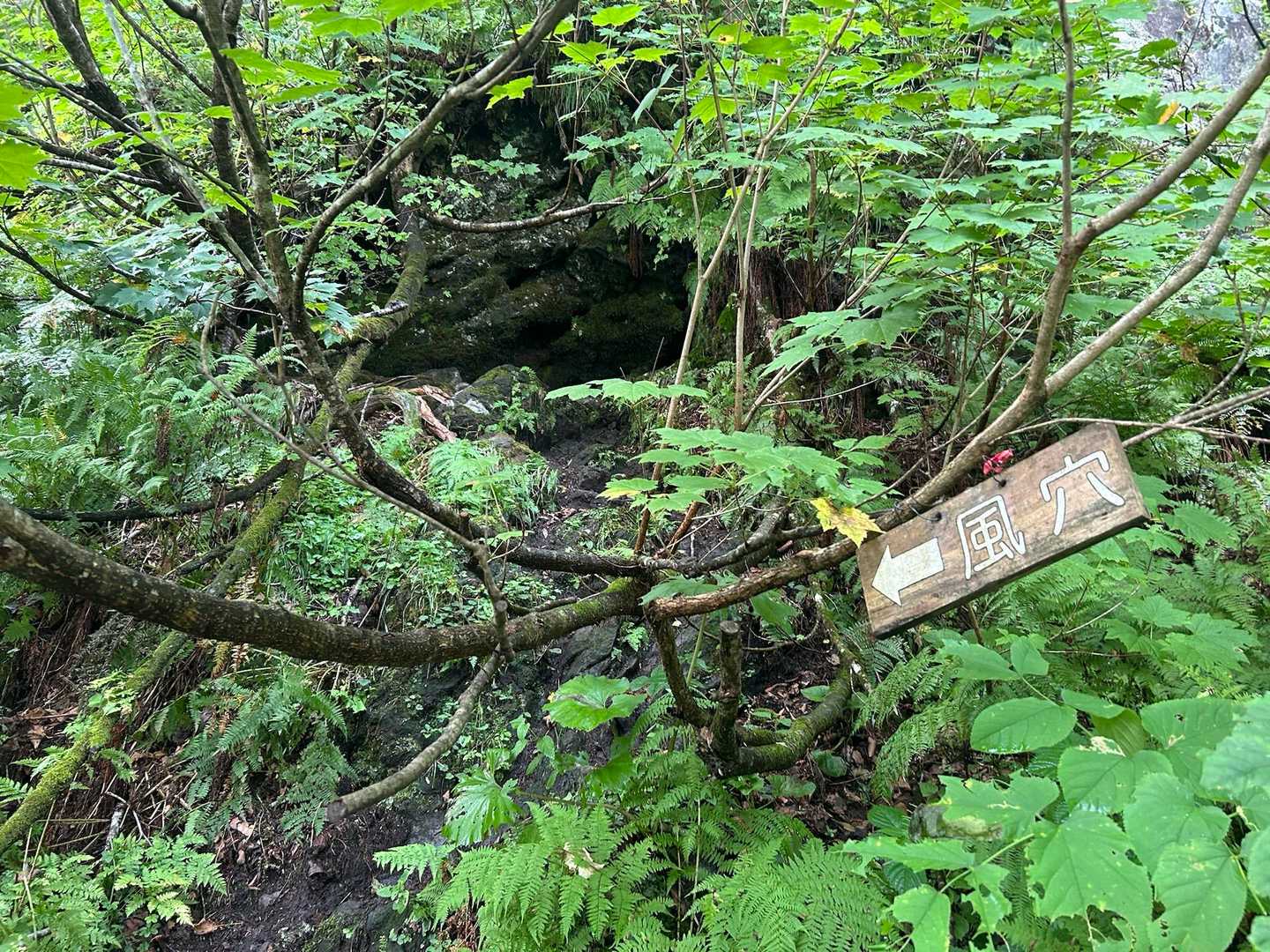 倶知安ひらふコース | 蝦夷富士から味わう大パノラマの写真