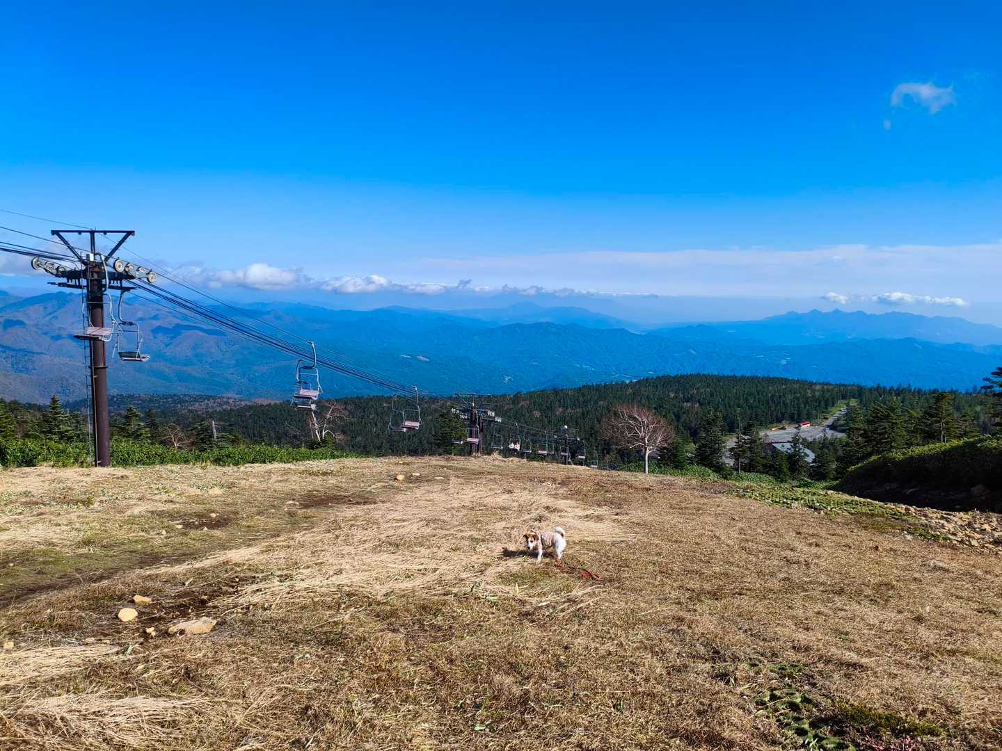 渋峠-横手山 往復コースの写真