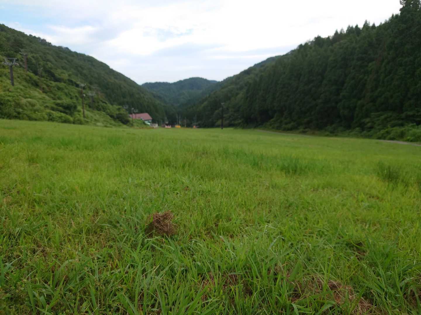 スキー場を下るよ