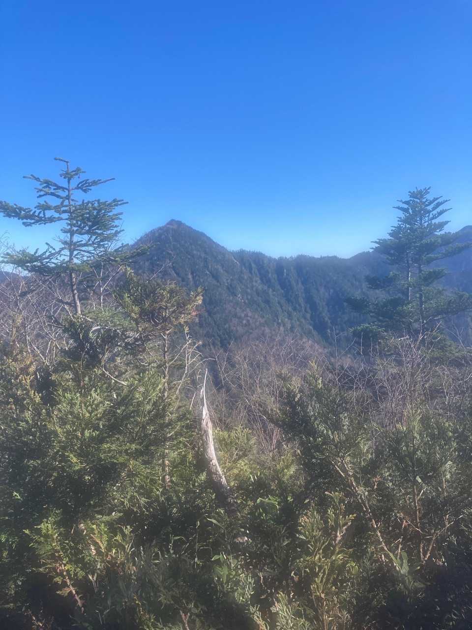 燕巣山