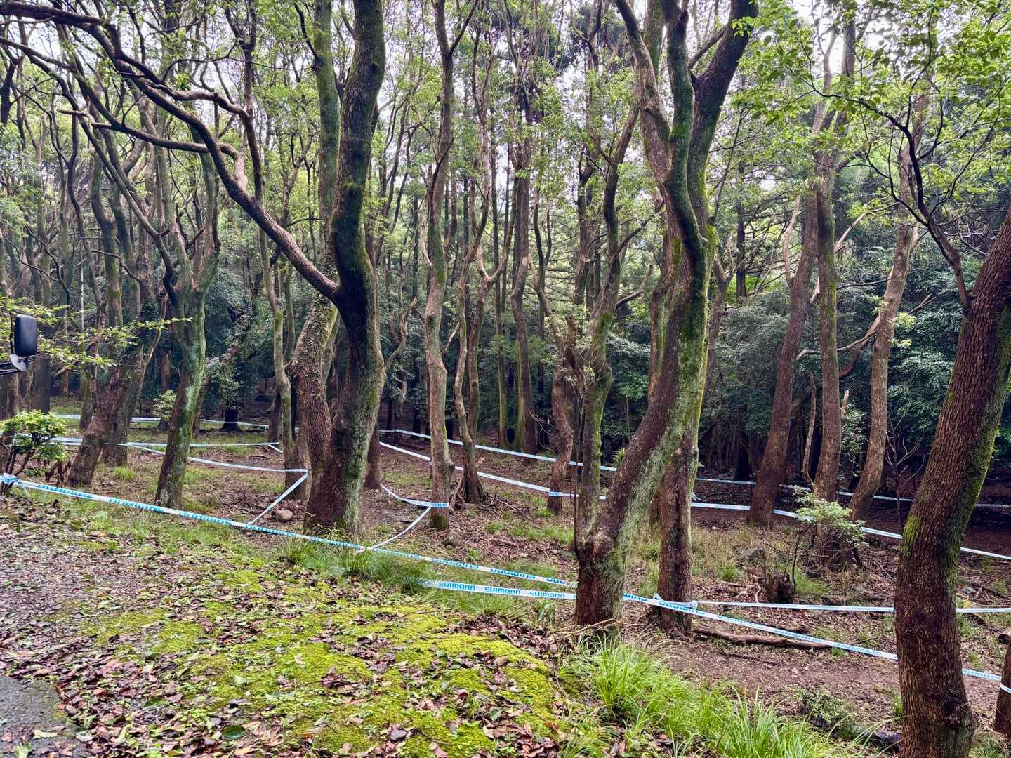 なんか結界が張ってある…
何を召喚するのか🧌