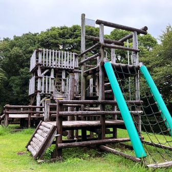 ライオンを見た後は登り棒で降りるのがおすすめです。
