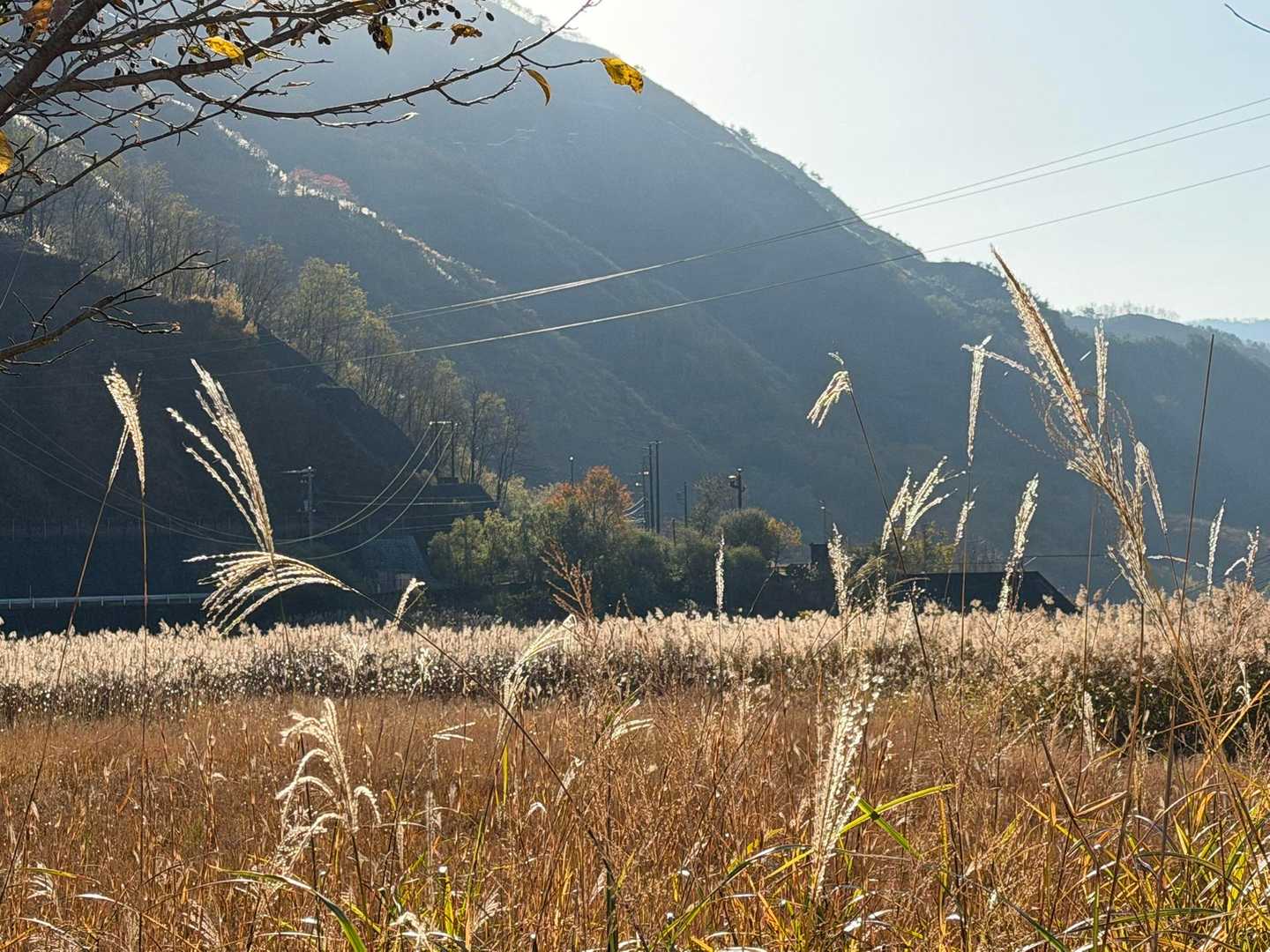 公園入口バス停-中倉山登山口-中倉山 往復コースの写真