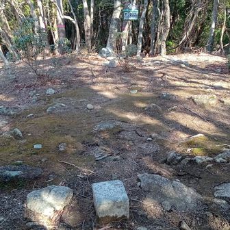 野登山頂上