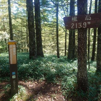千頭星山
展望なし