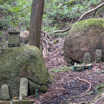 磨崖仏の回りには石仏沢山ありました