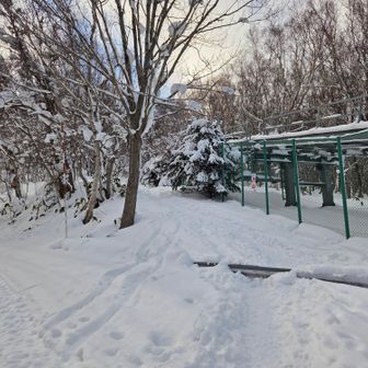 中腹駅建物脇歩道は閉鎖
ここから軌道脇の遊歩道へ入れる