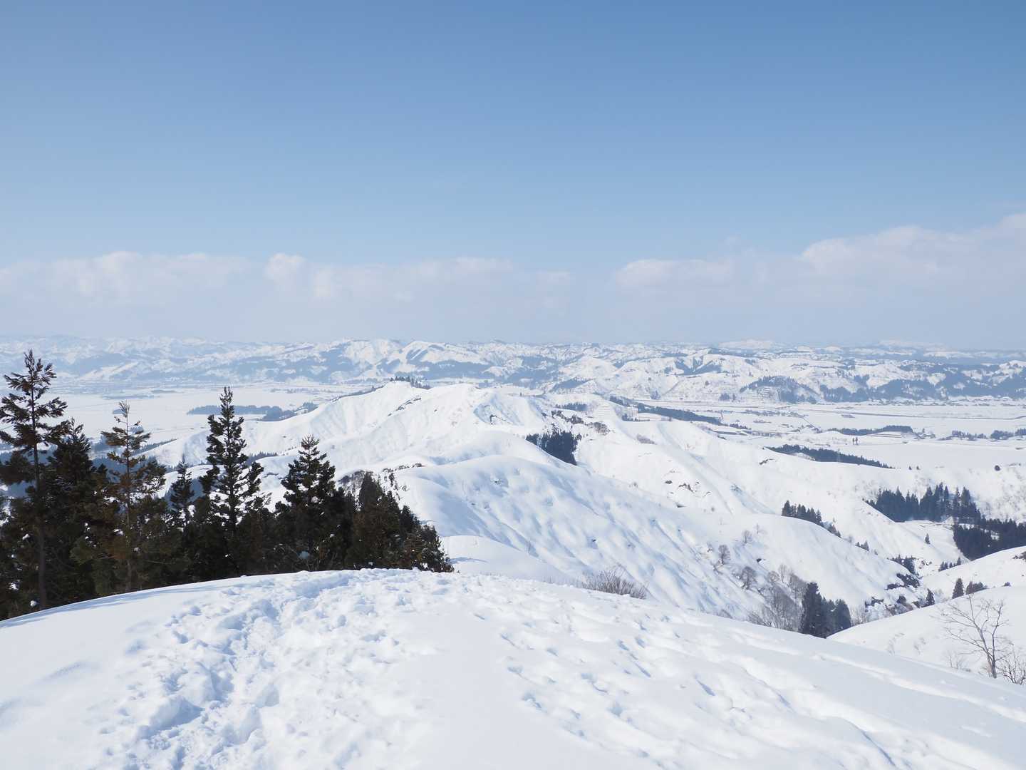 大力山-黒禿の頭-笠倉山 往復コースの写真