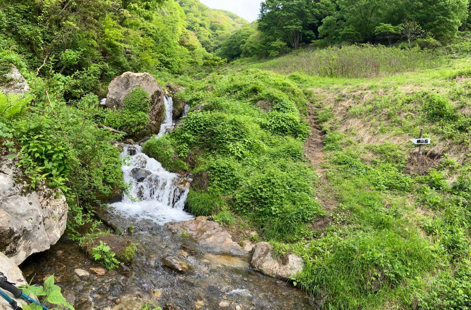 ひたすら渡渉
滑ることを想定しつつ次の岩に跳ぶ
