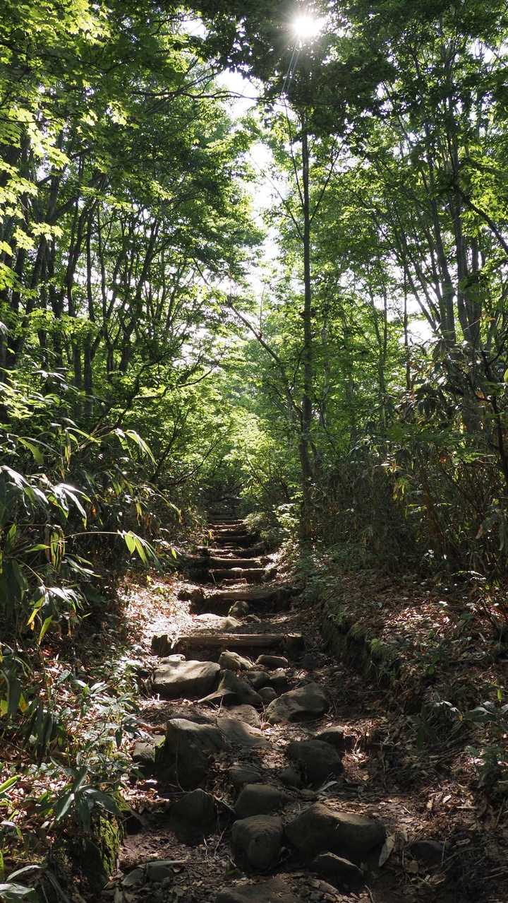 八甲田山（大岳・井戸岳・赤倉岳）／青森遠征Day2 の写真 4