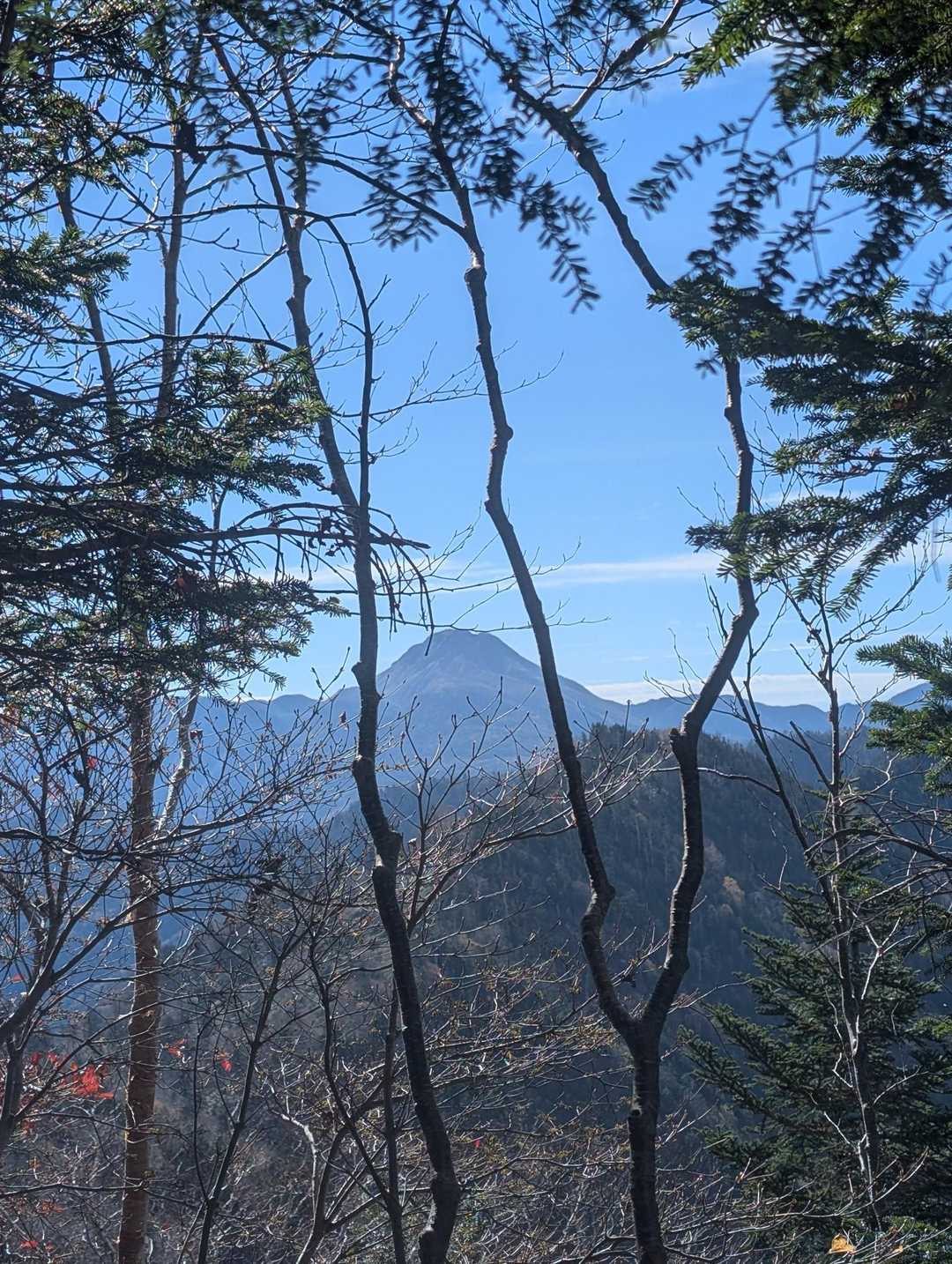 ひときわ目立つあれは日光白根か😍