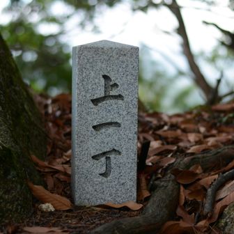 上がついた一丁　９合目みたいなものだろう？