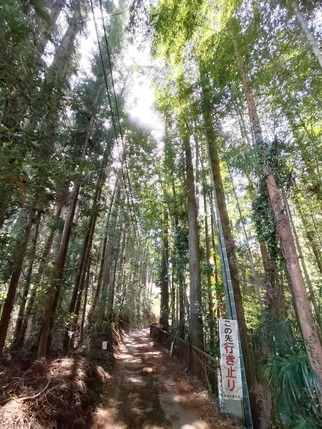 稲荷神社前バス停-天狗岩自然歩道入口-要害山-赤ぼっこ-馬 縦走コースの写真