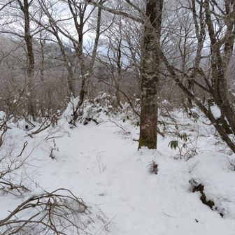 これくらい雪が残ってます。