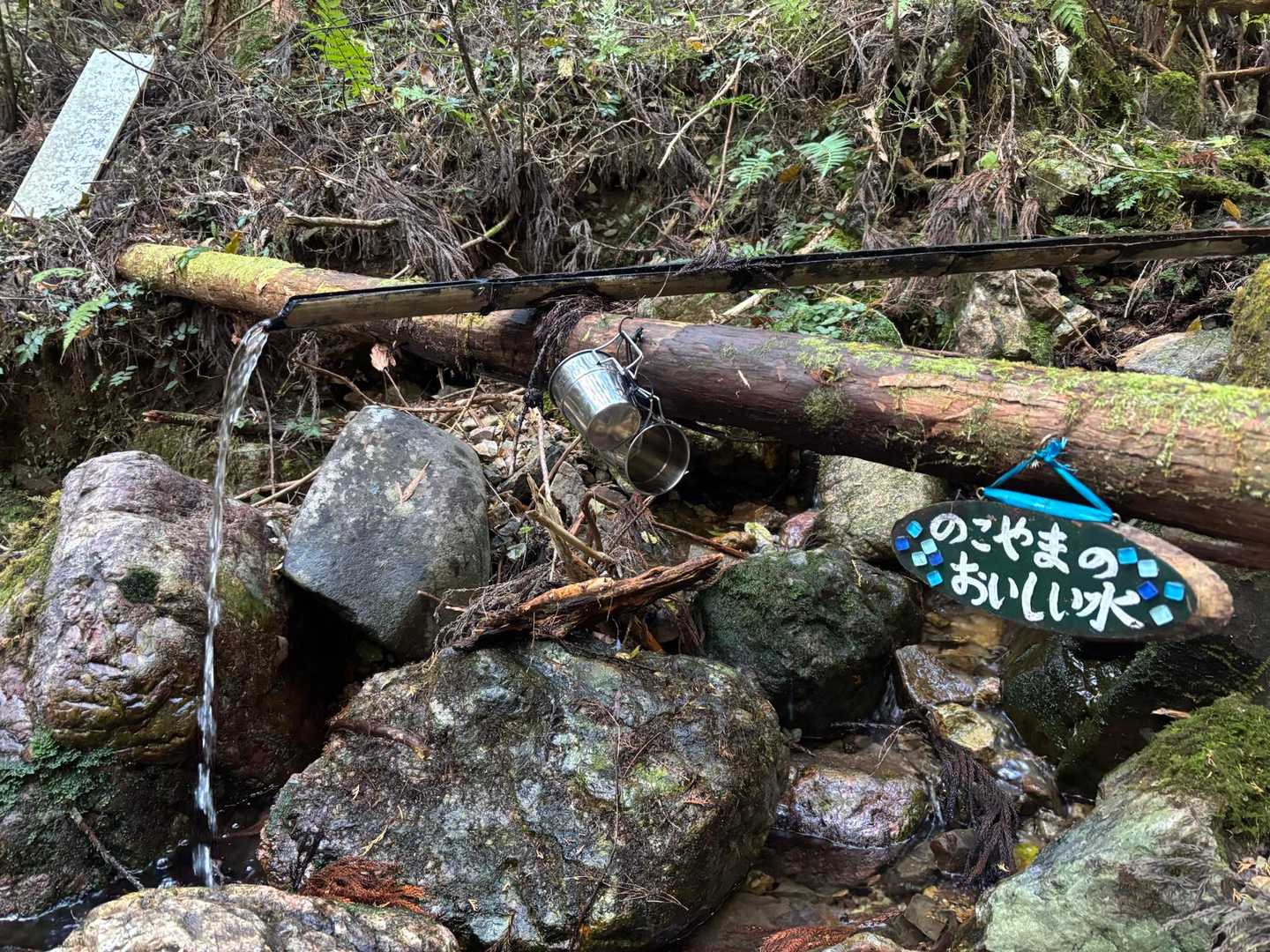 納古山 周回コースの写真