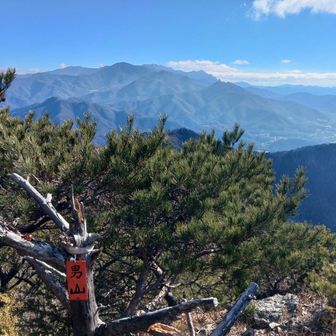 こちらにも男山標識

ではクッション捜索に出掛けますか😭