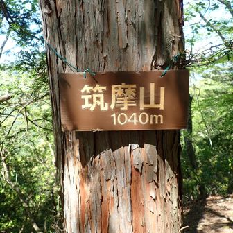 筑摩山着きました🤗
里山100選 99/100
見晴らしはないけど、良いルートでした。