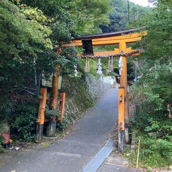 いざ愛宕山へ詣る！