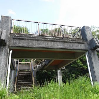 九六位山山頂
YAMAP1868座目
