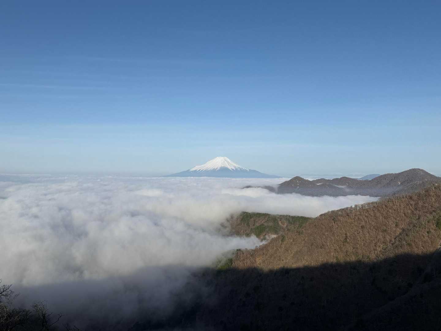 今日もキラキラな富士山