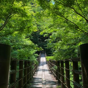 まずは、こっちから
