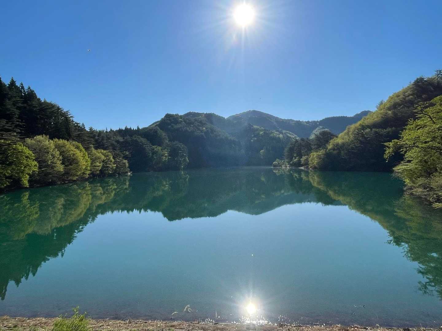 鳳凰山-秋葉山神社-秋葉山-長根山 周回コースの写真