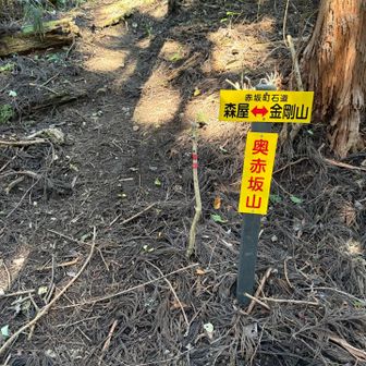 ここ登る