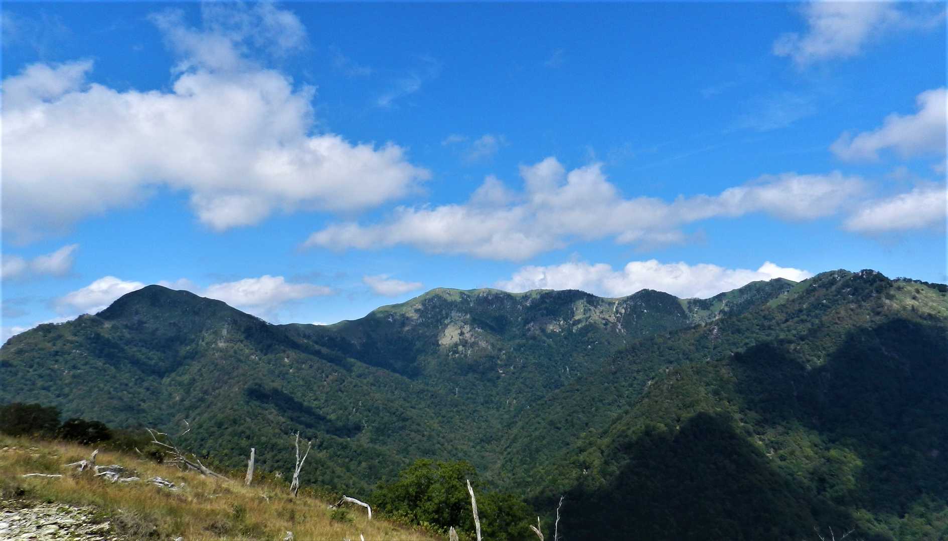 新九郎山-不入山 周回コースの写真