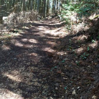 ちょっと登るよ