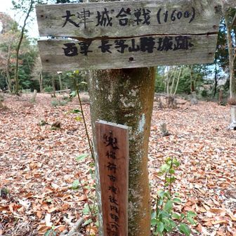 大津城合戦跡
長等山陣城跡
古墳でもあります。