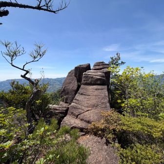心地よいので先端でしばらくぼんやりしました
天狗岩に到着！
この後、山頂から直接下る楽しそうなルートを見逃し、巻き道を通っていることに気づきました😭

