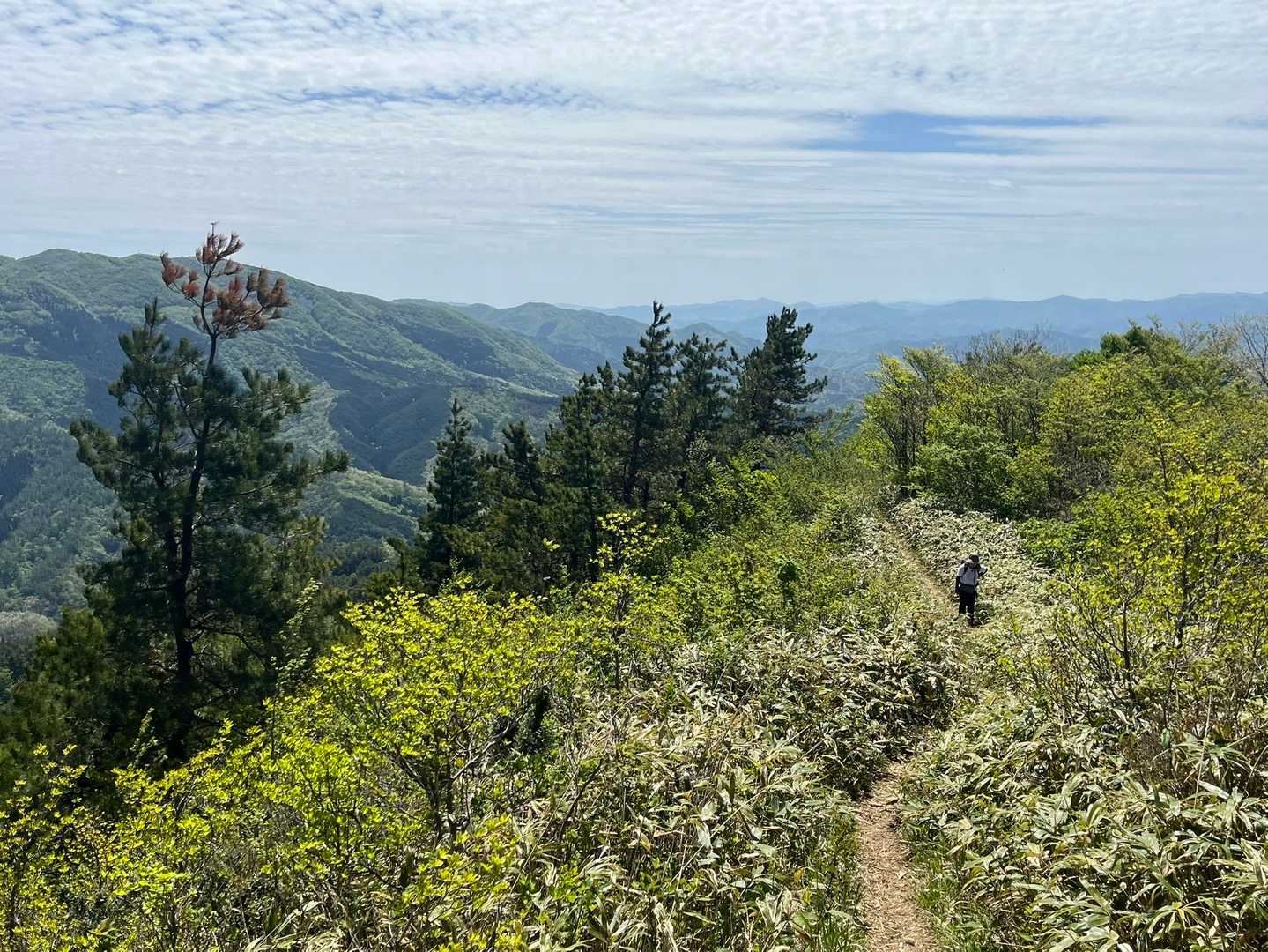 若杉山 往復コースの写真