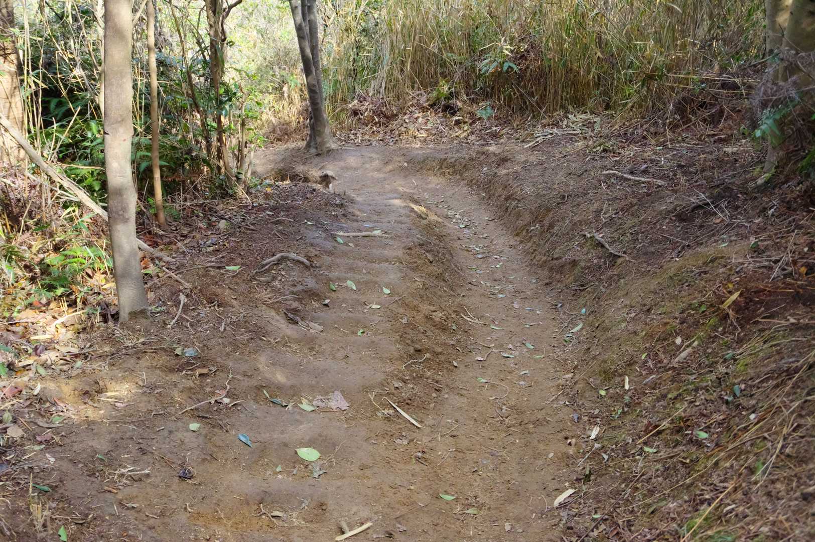 三角点から赤崎の分岐まではちょっと急だったよな～と思っていたら道がつづれ折になっていたりステップがつけられていたりと整備具合がパワーアップしていました。整備の参考になります。ありがとうございます