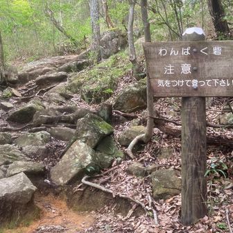 わんぱく砦。なかなかわんぱくな急登です