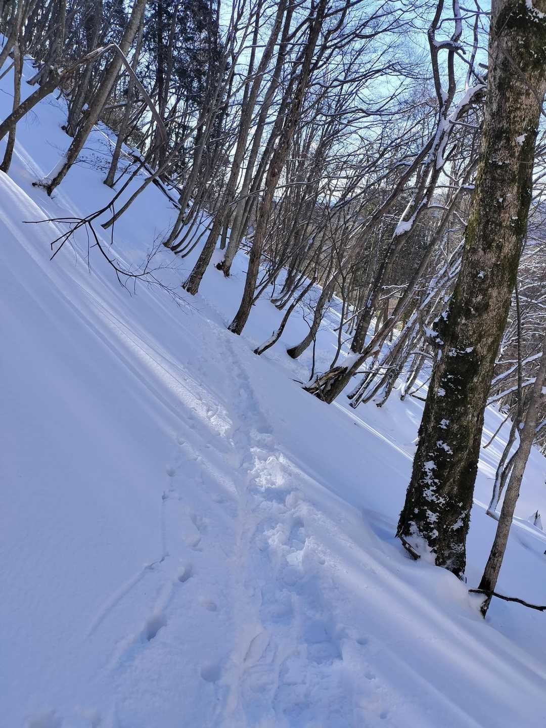 下山はスノーシューでザクザクおります