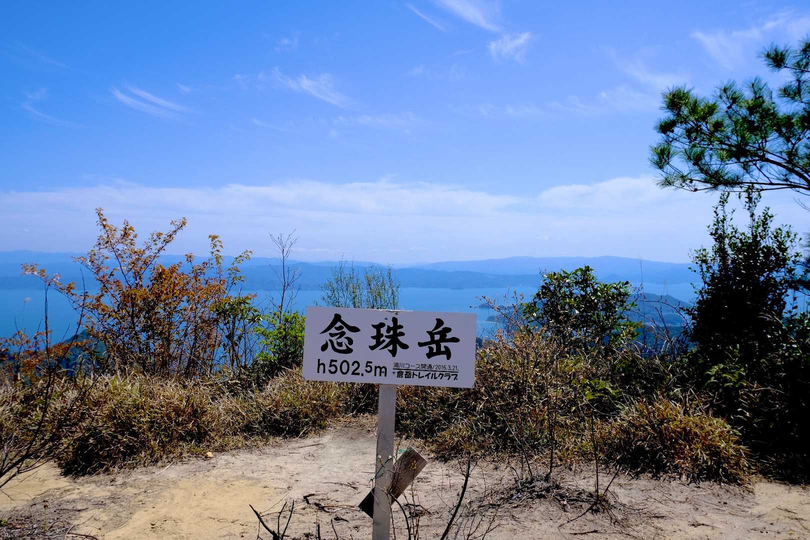 急登でした…。
登頂
( ｡･ω･｡)ﾉ 凸ﾎﾟﾁｯ