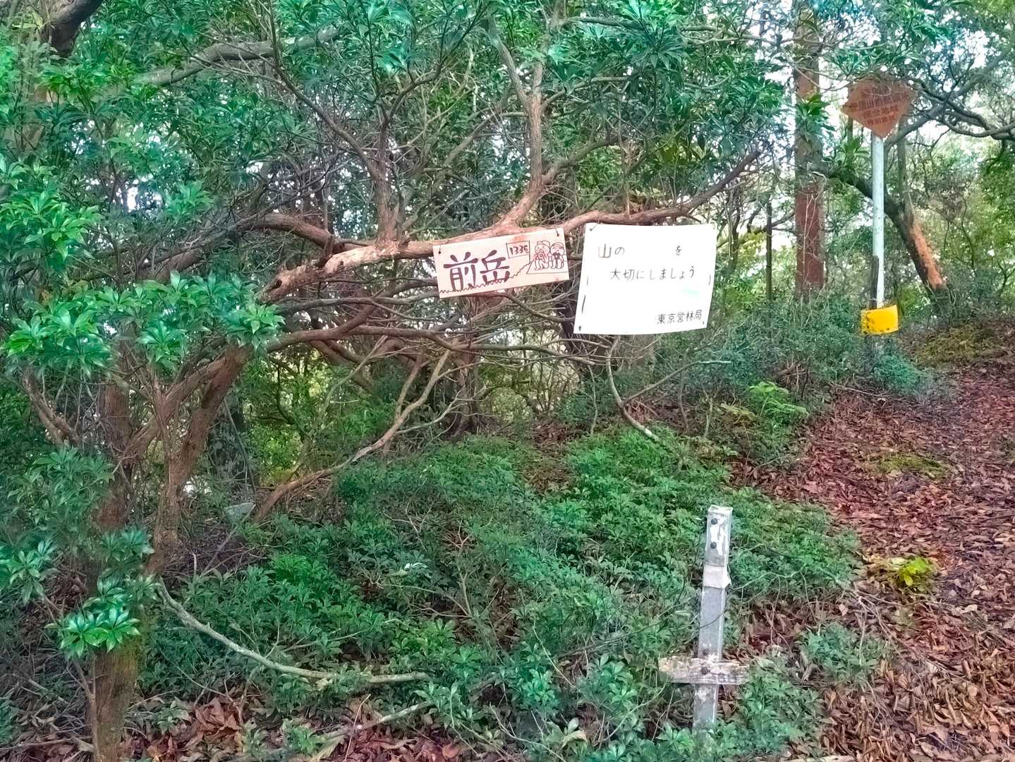 前岳　標高1336ｍ