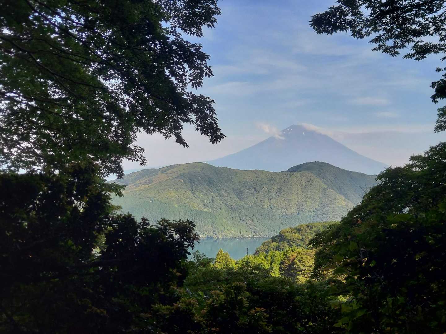 木々間から富士山と芦ノ湖！
画になる～