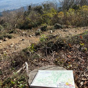 九千部山ドラゴン、2匹目。赤のザックが、ランドセルみたいになってしまった。