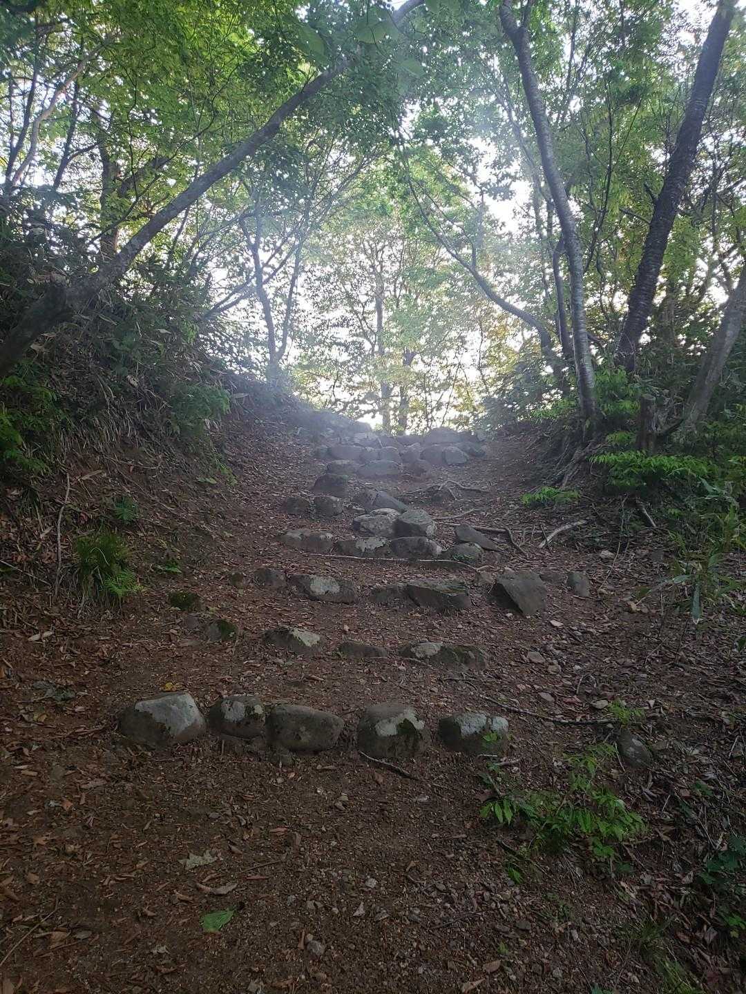 石動山 周回コースの写真